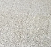 carpet cleaner, carpet cleaning business, residential carpet cleaning