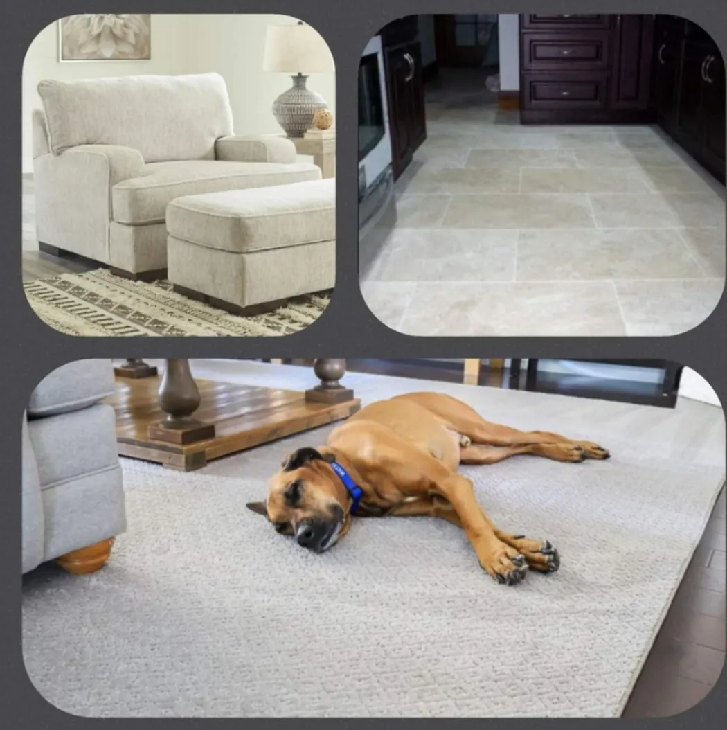 pet odor removal, deodorize, area rug cleaning
